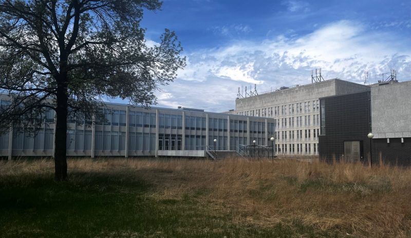 Native prairie grasses in the Russel Building greenspace